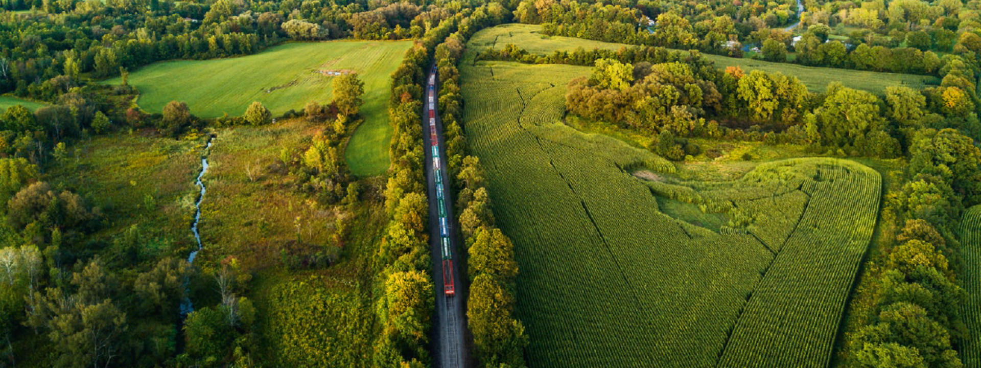 Contacts DB Cargo Transasia GmbH